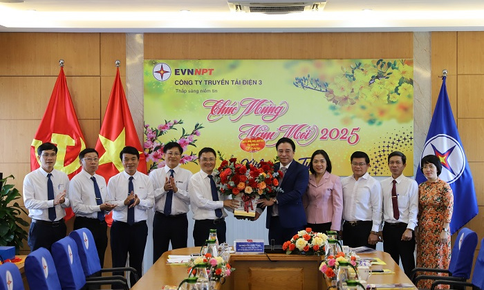 Truyền tải điện 3 ra quân đầu Xuân Ất Tỵ