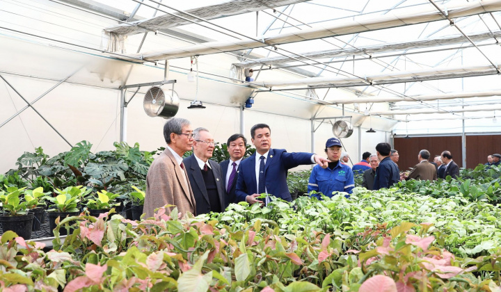 Sắp diễn ra Lễ hội Hoa - Sinh Vật Cảnh Supe Lâm Thao lần thứ Nhất - Xuân Ất Tỵ 2025