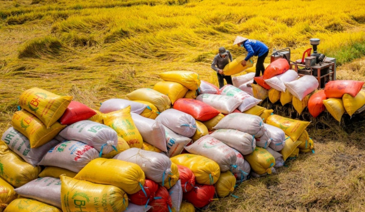 Bộ Công Thương lấy ý kiến Dự thảo Thông tư về kinh doanh xuất khẩu gạo