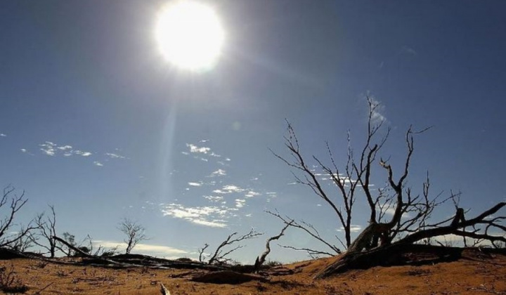 Tháng 1/2025 ghi nhận là tháng 1 có nhiệt độ cao nhất trong lịch sử