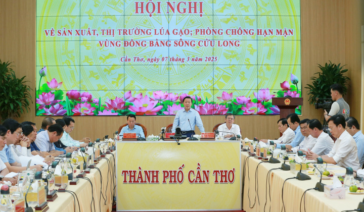 Theo dõi sát diễn biến thị trường gạo thế giới để có kế hoạch sản xuất, xuất khẩu phù hợp