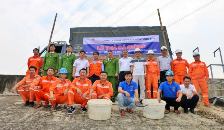 Thủy điện Trung Sơn: Thả cá giống, tái tạo nguồn lợi thủy sản lòng hồ