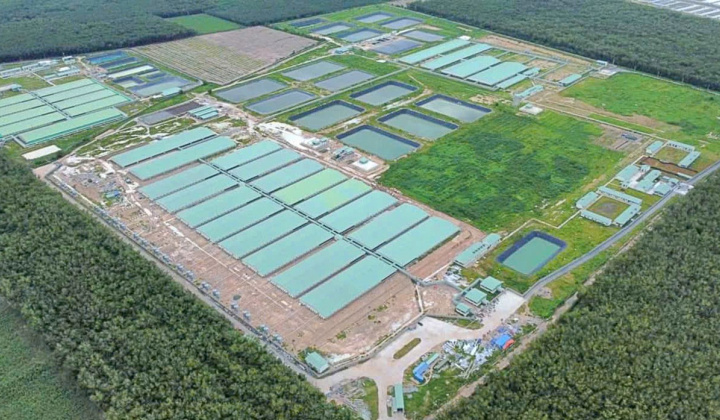 BAF Việt Nam (BAF) M&A trang trại thứ 15, mục tiêu tăng 65% quy mô đàn heo năm nay