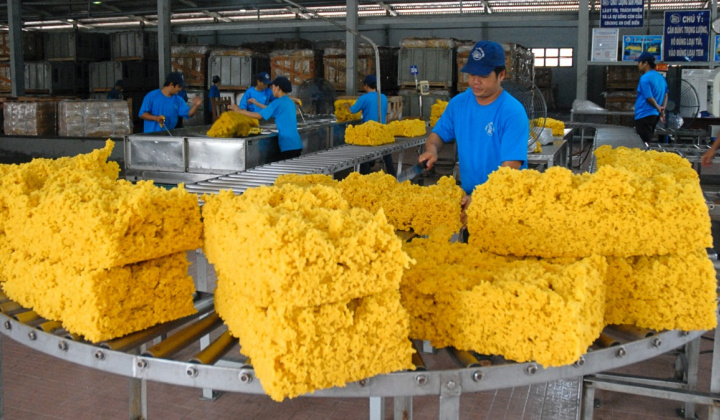 Giá cao su có thể chạm 50 triệu đồng/tấn, Cao su Phước Hoà (PHR) hưởng lợi lớn