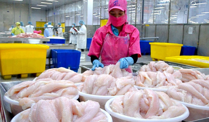 Giá cá tra lên cao nhất 3 năm, xuất khẩu của Thuỷ sản Vĩnh Hoàn (VHC) sang Mỹ tiếp tục tăng