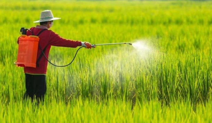 Đề xuất sửa Danh mục thuốc bảo vệ thực vật được phép sử dụng tại Việt Nam