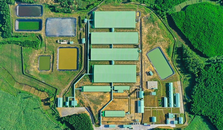 BaF Việt Nam (BAF) chuẩn bị làm siêu tổ hợp chăn nuôi heo nhà tầng quy mô 1.550 ha