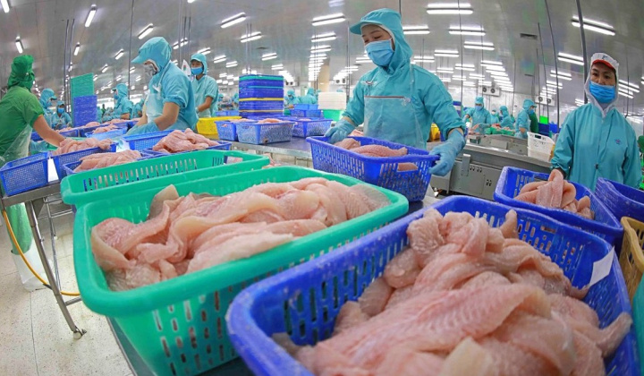 Xuất khẩu thuỷ sản 2025: Tận dụng cơ hội, khắc phục thách thức