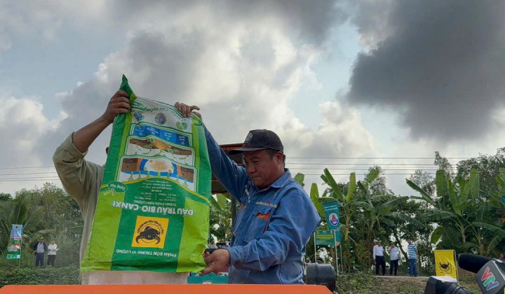 Phân bón Đầu Trâu Bio-Canxi: Trả dinh dưỡng lại cho đất lúa