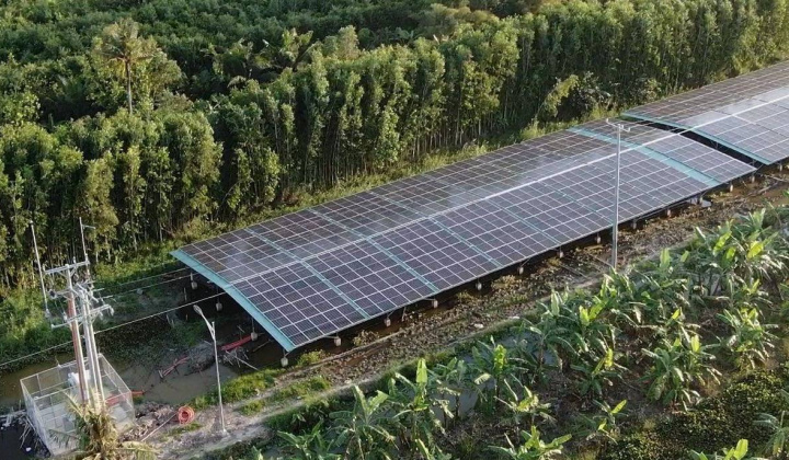 Khẩn trương giải quyết vướng mắc về đất nông lâm nghiệp của điện mặt trời mái nhà