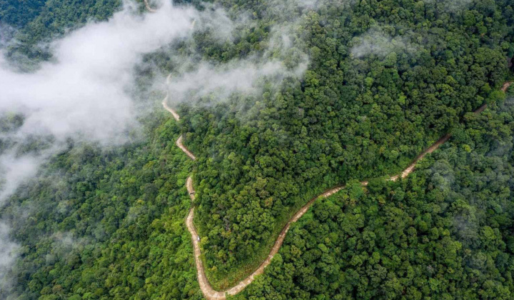 Quỹ Bảo vệ và phát triển rừng Việt Nam: Nỗ lực phát triển thị trường tín chỉ carbon rừng