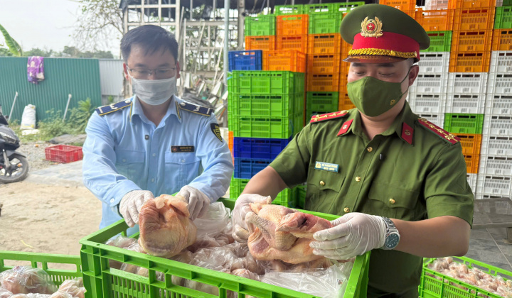 Hà Nội: Phát hiện lô gà đông lạnh “khủng” không rõ nguồn gốc lớn nhất từ trước đến nay