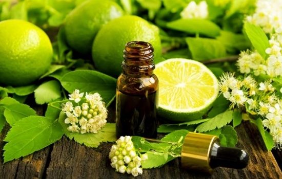 Ly trích và khảo sát khả năng kháng khuẩn của tinh dầu vỏ chanh (Citrus aurantifolia L.) tại Long Xuyên, An Giang