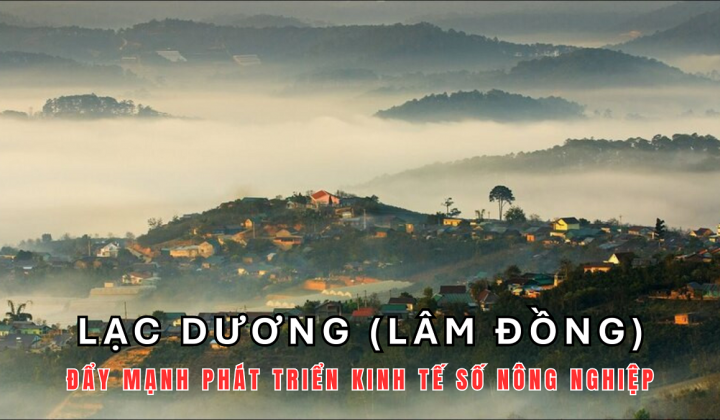 Lạc Dương (Lâm Đồng): Đẩy mạnh phát triển kinh tế số nông nghiệp