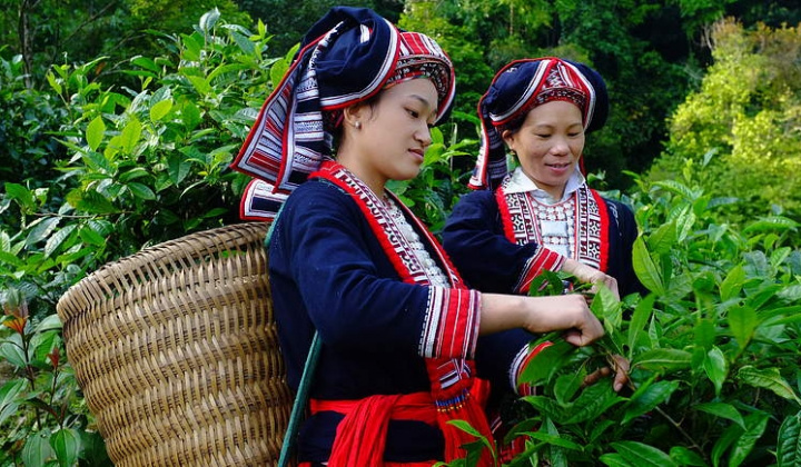 Điều chỉnh nội dung Chương trình phát triển kinh tế-xã hội vùng dân tộc thiểu số