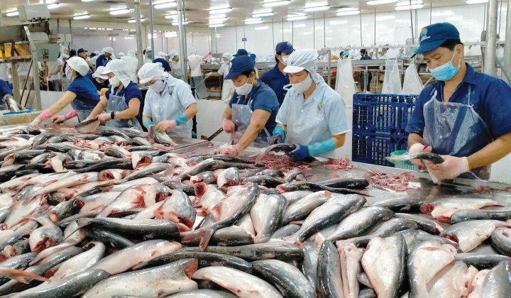 Indonesia thực hiện các quy định mới về kiểm dịch hàng hoá