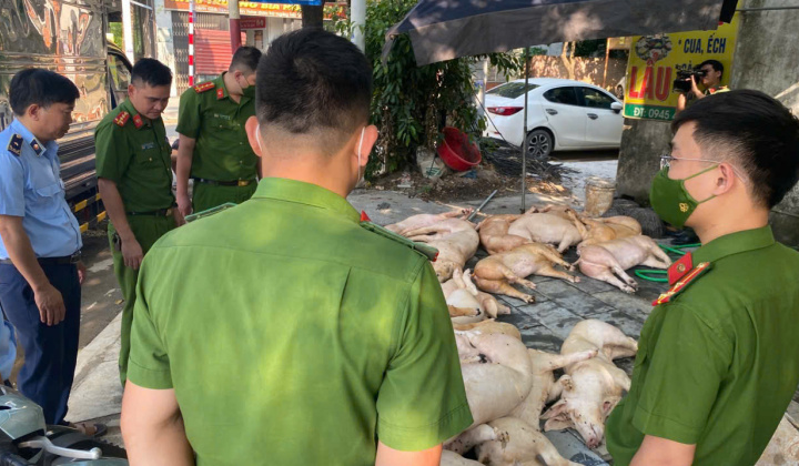 Vĩnh Phúc: Ngân chặn kịp thời gần 800kg thịt lợn đã bốc mùi chuẩn bị ra thị trường