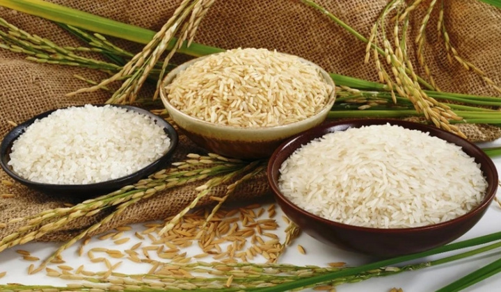 Senegal muốn nhập khẩu gạo, gia vị, cà phê, trà... của Việt Nam