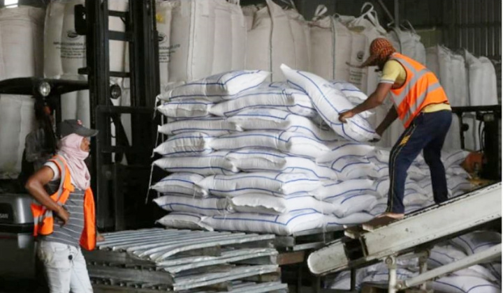 Bộ Công Thương lấy ý kiến về nhập khẩu lá thuốc lá khô và gạo từ Campuchia năm 2025 - 2026