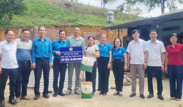 Kinh tế hộ lâm nghiệp: Lan tỏa từ những cánh rừng nguyên liệu giấy