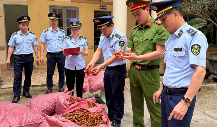 Ngăn chặn kịp thời 1,5 tấn chân gà không rõ nguồn gốc xuất xứ