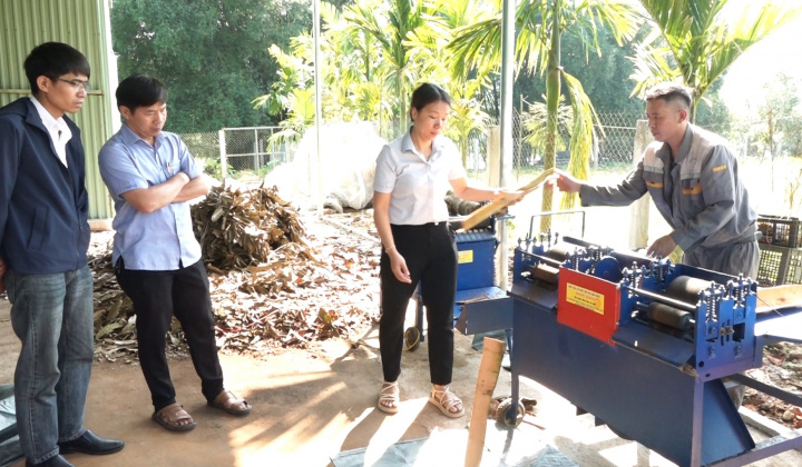 Quảng Nam: Đề án khuyến công nâng tầm sản phẩm quế Trà My