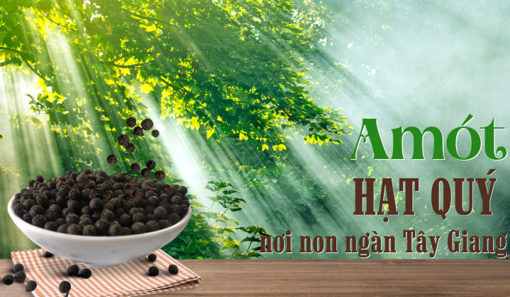 Amót - Hạt quý nơi non ngàn Tây Giang