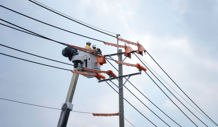 Tổng công ty Điện lực Thành phố Hồ Chí Minh tăng cường kiểm tra công tác an toàn trong lao động