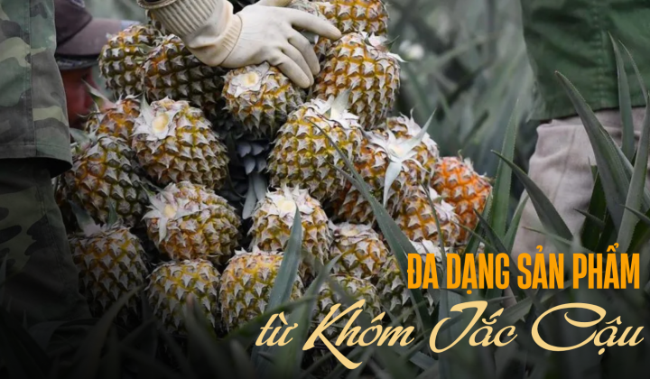 Ða dạng sản phẩm từ Khóm Tắc Cậu