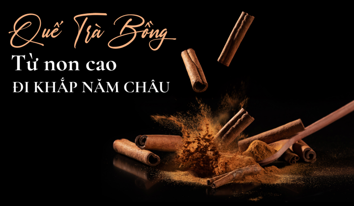 Quế Trà Bồng: Từ non cao đi khắp năm châu