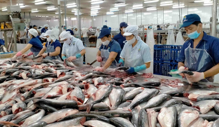 POR20: 8 doanh nghiệp cá tra Việt Nam hưởng thuế chống bán phá giá 0% khi xuất sang Hoa Kỳ