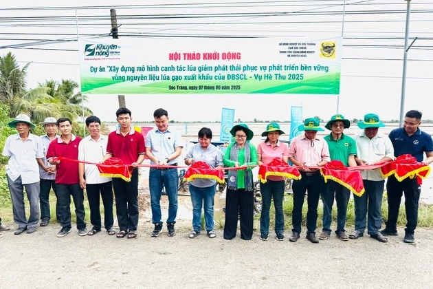 Phân bón Bình Điền hỗ trợ nông dân ĐBSCL phát triển nguyên liệu lúa gạo xuất khẩu
