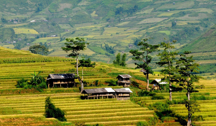 Thành lập Ban Chỉ đạo Trung ương các chương trình mục tiêu quốc gia giai đoạn 2021 - 2025