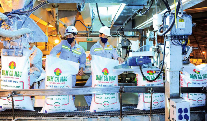 Đạm Cà Mau (DCM): Lợi nhuận bứt phá vượt 22% kế hoạch sau 6 tháng đầu năm 2025