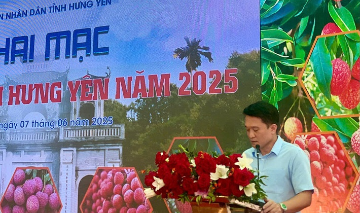 Phiên chợ vải Hưng Yên 2025: Sắc màu nông sản và kết nối thị trường
