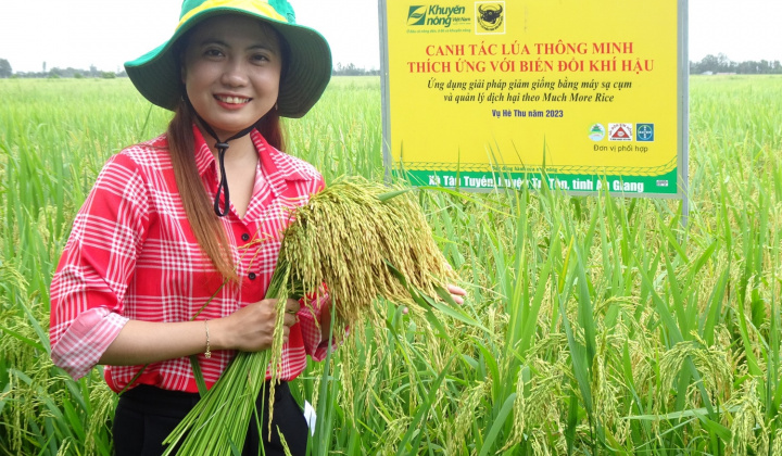 Thực trạng Can-xi (Ca) đất lúa vùng đồng bằng sông Cửu Long từ kết quả chương trình “Canh Tác Lúa Thông Minh”