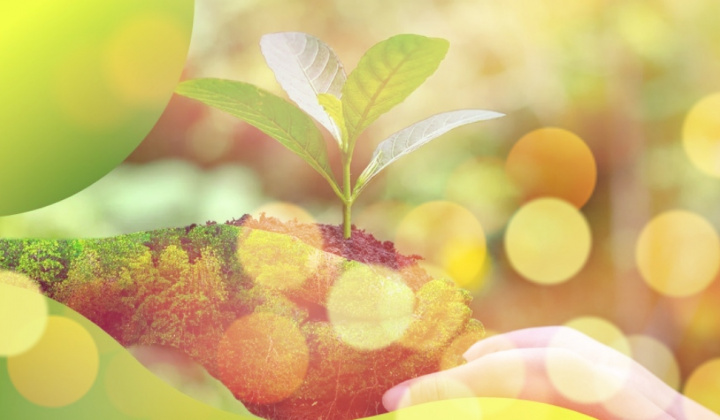 Chủ đầu tư dự án, chủ thể phát hành trái phiếu xanh sẽ đề nghị thực hiện xác nhận dự án đầu tư thuộc danh mục phân loại xanh