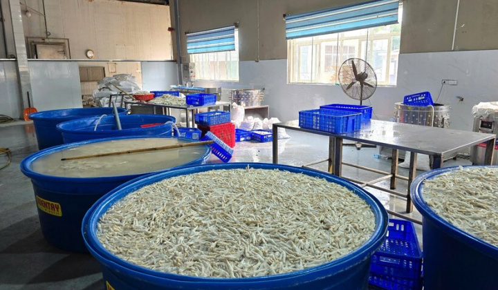 Thanh Hoá: Phát hiện kho chứa 13 tấn chân gà ngâm tẩm hoá chất INTEROX ST 50 (H2O2)