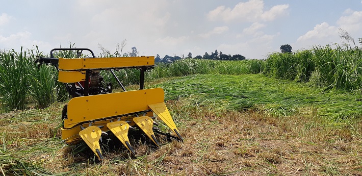 Công ty CP Cơ khí An Giang: Cần đổi mới sản phẩm để phục hồi tăng trưởng