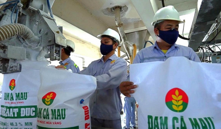 Đạm Cà Mau (DCM): Lãi quý 2 tăng vọt, có hơn 11.000 tỷ đồng tiền gửi ngân hàng