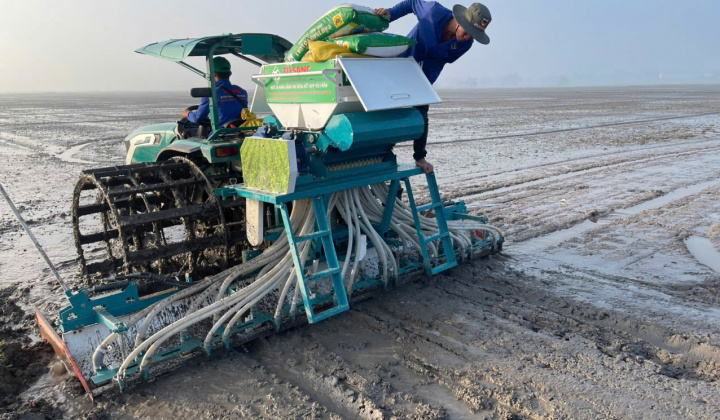 Lợi ích của phân bón cải tạo đất