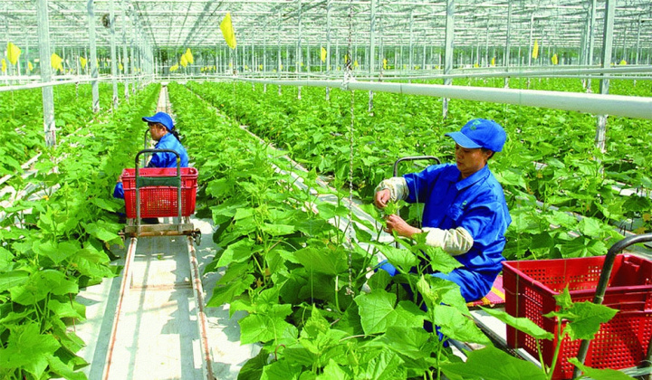 Thực trạng thúc đẩy xuất khẩu xanh tại Việt Nam