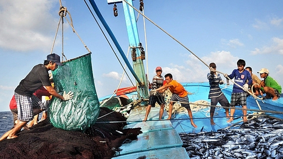 Hiệp định về Biện pháp cảng để ngăn ngừa, răn đe và loại bỏ khai thác IUU (PSMA) và sự tham gia của Việt Nam