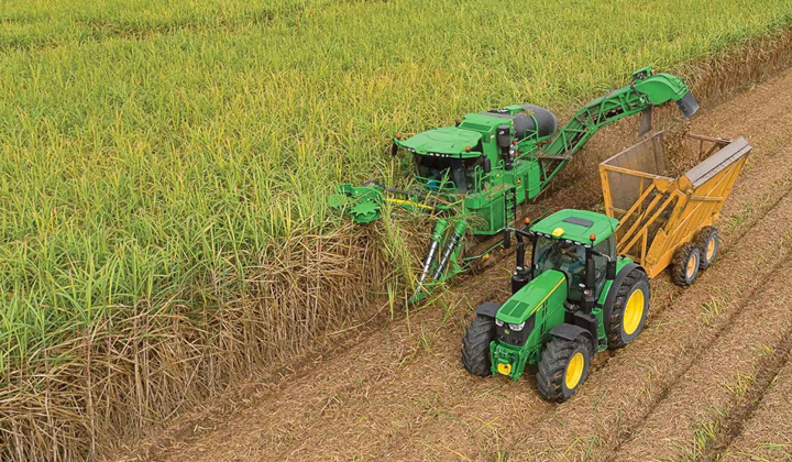 Lo ngại thiếu hụt nguồn cung, giá đường dự báo tiếp tục neo cao