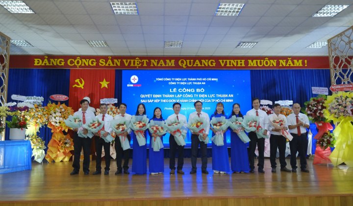 EVNHCMC công bố thành lập 9 công ty điện lực mới