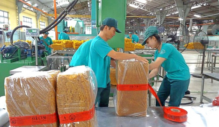Có 2.000 tỷ đồng gửi ngân hàng, Cao su Đồng Phú (DPR) chốt chia cổ tức tiền mặt 20%