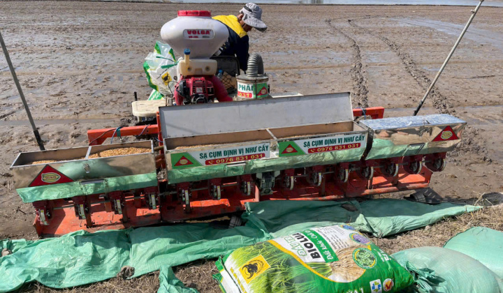 Hướng dẫn sử dụng phân bón đầu trâu Bio-canxi hiệu quả trong sản xuất lúa bền vững