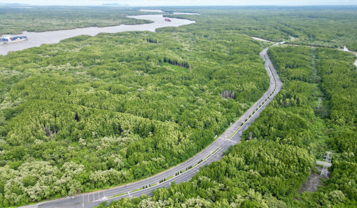 Bổ sung quy định về tạm sử dụng rừng để thi công các dự án cấp thiết