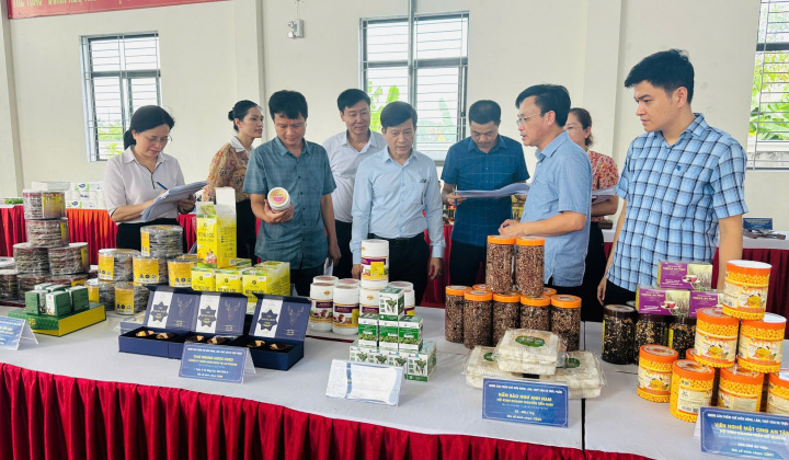 Công nghiệp nông thôn Hà Tĩnh bứt phá nhờ khuyến công đồng hành