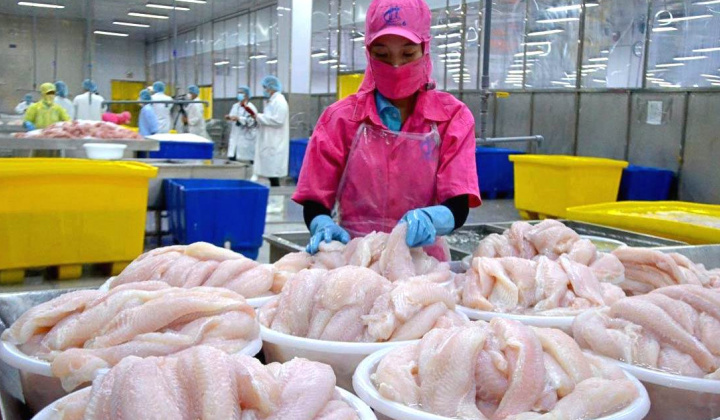 Xuất khẩu cá tra khởi sắc, Thuỷ sản Vĩnh Hoàn (VHC) báo lãi cao nhất 8 quý